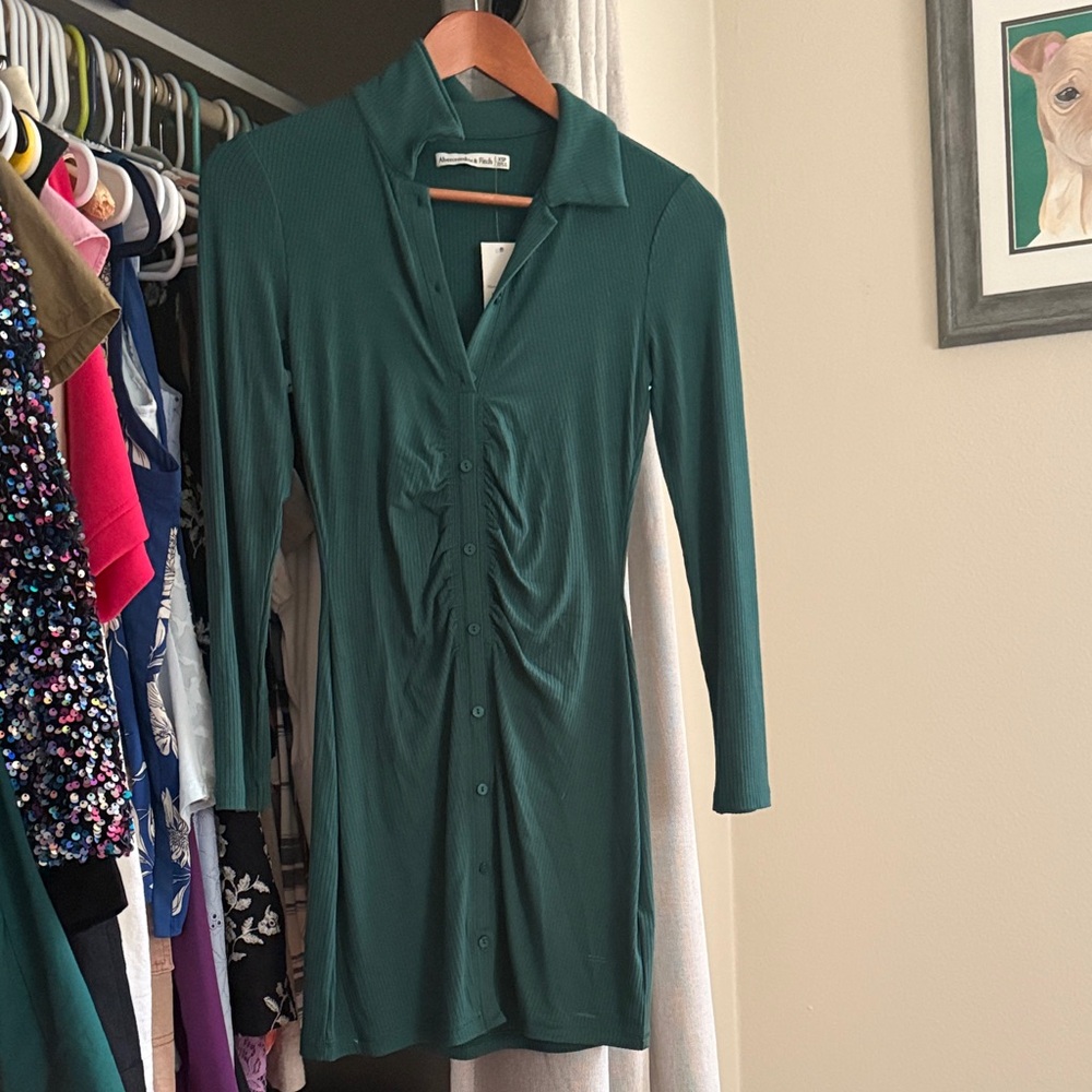 Abercrombie & Fitch Forest Green Long Sleeve Button-Front Dress